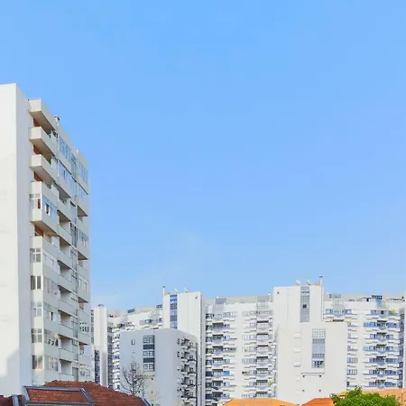 Macario Wood House Porto